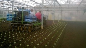 tuinbouwloonwerk.be Debusschere Kortemark