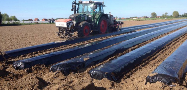 tuinbouwloonwerk fendt